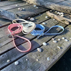 Biothane Leash