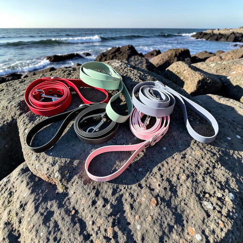 Biothane Leash