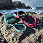 Biothane Leash