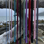 Biothane Leash